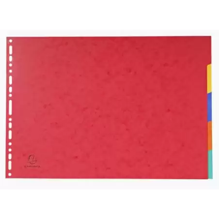 (2905E) EXACOMPTA SEPARADORES NATURE FUTURE CARTULINA LUSTRADA 400GR 5 POSICIONES A3 COLORES