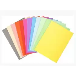 (410000E) EXACOMPTA SUBCARPETAS A4 FOREVER COLORES SURTIDOS 220GR -100U-