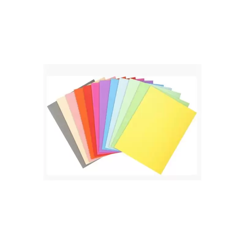 (410000E) EXACOMPTA SUBCARPETAS A4 FOREVER COLORES SURTIDOS 220GR -100U-