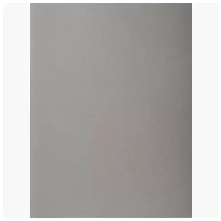 (410009E) EXACOMPTA SUBCARPETAS A4 FOREVER COLOR GRIS 220GR -100U-