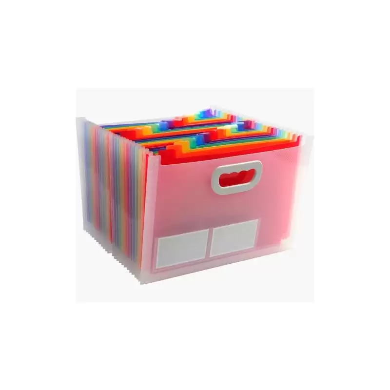 (55198E) EXACOMPTA MALETÍN CLASIFICADOR ACORDEÓN C/ASA 24 COMPARTIMENTOS CRISTAL