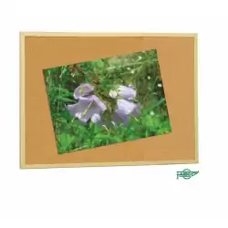 (707-3) FAIBO TABLERO CORCHO CON ADHESIVO REMOVIBLE 60X90 CM CON MARCO DE MADERA