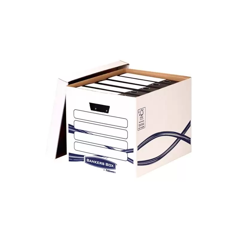 (4461001) FELLOWES MAXI CONTENEDOR DE ARCHIVO A4 BASIC CARTÓN RECICLADO PACK 10 UD