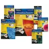 (5307506) FELLOWES FUNDAS DE PLASTIFICAR 125 MICRAS A3 BRILLO PACK 100 UD