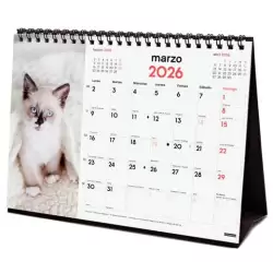 (780323826) FINOCAM CALENDARIO DE SOBREMESA PARA ESCRIBIR S-210X150MM MV IMÁGENES GATITOS 2026