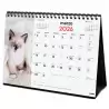 (780323826) FINOCAM CALENDARIO DE SOBREMESA PARA ESCRIBIR S-210X150MM MV IMÁGENES GATITOS 2026