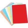 (400040551) GIO SUBCARPETA SIMPLE CARTULINA A4 180GR ROJO PASTEL -PACK DE 50U-