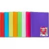 (1431230) GRAFOPLÁS CARPETA POLIPLÁS DE POLIPROPILENO TRANSLÚCIDO CON 10 FUNDAS SOLDADAS FOLIO AZUL