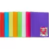 (1431254) GRAFOPLÁS CARPETA POLIPLÁS DE POLIPROPILENO TRANSLÚCIDO CON 10 FUNDAS SOLDADAS FOLIO FUCSIA