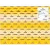 (C200005821) IRIS CARTULINA 50X65CM 280GR ORO -25U-