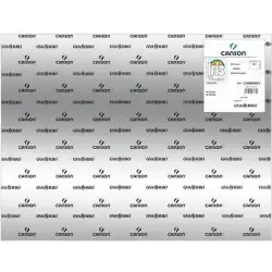 (C200005822) IRIS CARTULINA 50X65CM 280GR GRIS PLATA -25U-