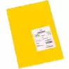 (C200040184) IRIS CARTULINA 297X420MM 185GR GUALDA -50U-