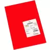 (C200040194) IRIS CARTULINA 297X420MM 185GR ROJO -50U-