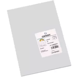 (C200040214) IRIS CARTULINA 297X420MM 185GR GRIS PERLA -50U-