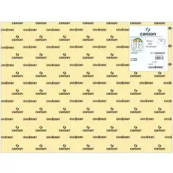 (C200040219) IRIS CARTULINA 50X65CM 185GR CREMA -25U-