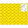 (C200040221) IRIS CARTULINA 50X65CM 185GR AMARILLO CANARIO -25U-