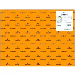 (C200040223) IRIS CARTULINA 50X65CM 185GR MANDARINA -25U-