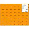 (C200040223) IRIS CARTULINA 50X65CM 185GR MANDARINA -25U-