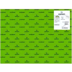 (C200040238) IRIS CARTULINA 50X65CM 185GR VERDE BILLAR -25U-