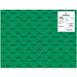 (C200040239) IRIS CARTULINA 50X65CM 185GR VERDE ABETO -25U-