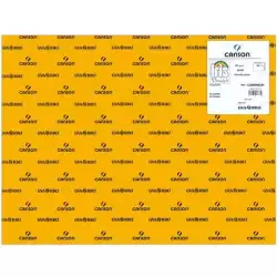 (C200040241) IRIS CARTULINA 50X65CM 185GR CUERO -25U-