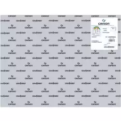 (C200040243) IRIS CARTULINA 50X65CM 185GR GRIS PERLA -25U-