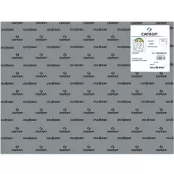 (C200040244) IRIS CARTULINA 50X65CM 185GR GRIS PLOMO -25U-