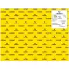 (C200403809) IRIS CARTULINA 50X65CM 250GR AMARILLO FLUOR -25U-