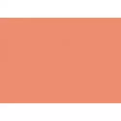 (C32127S014) IRIS CARTULINA 297X420MM 185GR CORAL -50U-