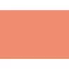 (C32127S014) IRIS CARTULINA 297X420MM 185GR CORAL -50U-