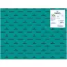 (C400080160) IRIS CARTULINA 50X65CM 185GR VERDE MENTA -25U-