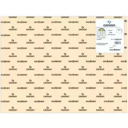 (C400080163) IRIS CARTULINA 50X65CM 185GR CÁSCARA DE HUEVO -25U-