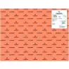 (C400080164) IRIS CARTULINA 50X65CM 185GR CORAL -25U-
