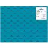 (C400080167) IRIS CARTULINA 50X65CM 185GR AZUL CARIBE -25U-