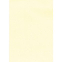 (12235) APLI PAPEL TEXTURA VERJURADO CREMA 220 GR. TAMAÑO A4 - 20 HOJAS -