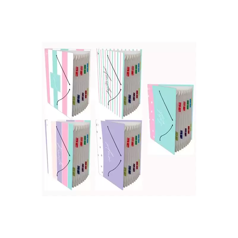 (0919FR-EX) MARIOLA CARPETA FUELLE ACORDEÓN 12 C/GOMA FOLIO CARTÓN FORRADO PLASTIFICADO DISEÑOS SURTIDOS