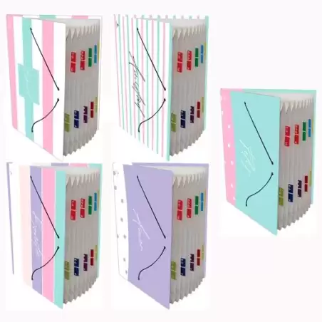 (0919FR-EX) MARIOLA CARPETA FUELLE ACORDEÓN 12 C/GOMA FOLIO CARTÓN FORRADO PLASTIFICADO DISEÑOS SURTIDOS