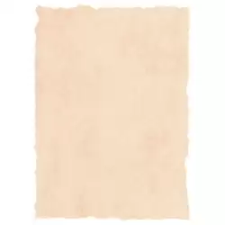 (2601229) MICHEL PERGAMINO TROQUELADO 200GR A4 PACK 25U BEIGE