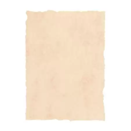 (2601229) MICHEL PERGAMINO TROQUELADO 200GR A4 PACK 25U BEIGE