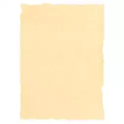 (2603229) MICHEL PERGAMINO TROQUELADO 160GR A4 PACK 25U CREMA