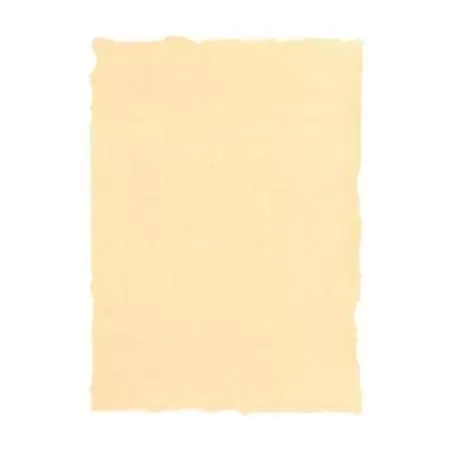 (2603229) MICHEL PERGAMINO TROQUELADO 160GR A4 PACK 25U CREMA