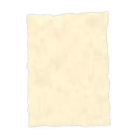 (2604229) MICHEL PERGAMINO TROQUELADO 150GR A4 PACK 25U TOPACIO