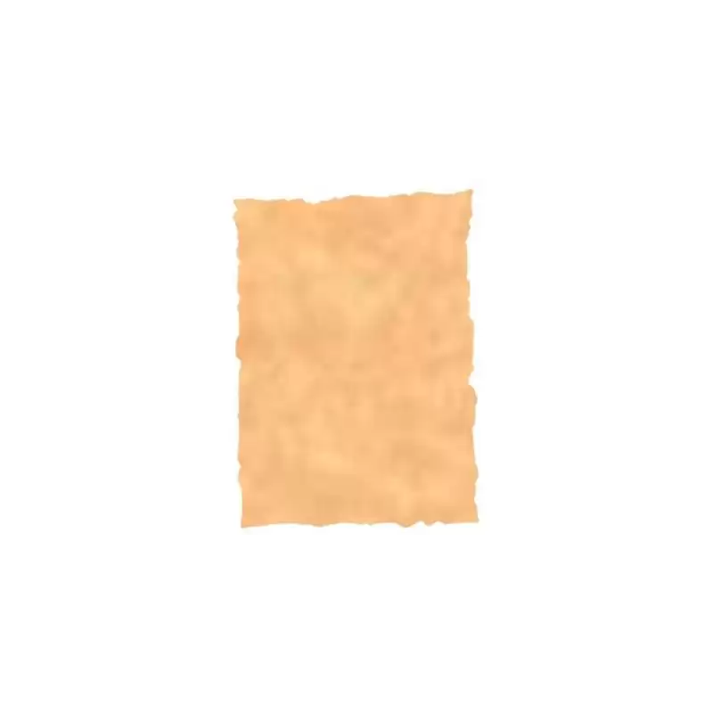 (2605229) MICHEL PERGAMINO TROQUELADO 150GR A4 PACK 25U OCRE