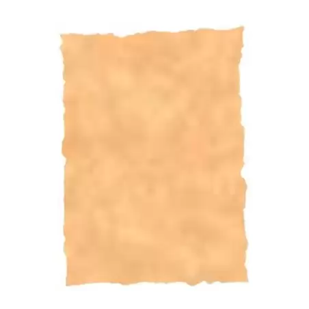 (2605229) MICHEL PERGAMINO TROQUELADO 150GR A4 PACK 25U OCRE