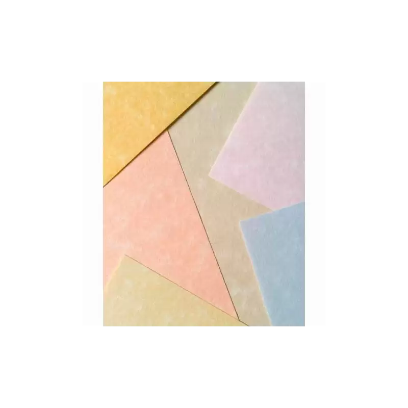 (9916229) MICHEL PAPEL PARCHMENT 180GR A4 PACK 100U PERGAMINO