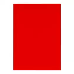 (400201724) OXFORD AGENDA ANUAL MINIMAL COSIDA A5 320H DP ROJO 2026