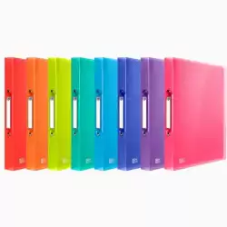 (400147041) OXFORD CARPETA DE ANILLAS 2X15 URBAN PP A4 COLORES SURTIDOS TRANSLÚCIDOS