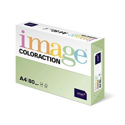 (284973) IMAGE PAPEL REPROGRÁFICO COLORACTION DIN A4 80GR PAQUETE 500H JUNGLE/VERDE PASTEL -CAJA 5 UD-