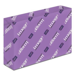 (546317) IMAGE PAPEL REPROGRÁFICO DIGICOLOR DIN SRA3 300GR PAQUETE 125H BLANCO -CAJA 5 UD-