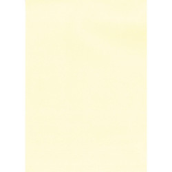 (12235) APLI PAPEL TEXTURA VERJURADO CREMA 220 GR. TAMAÑO A4 - 20 HOJAS -